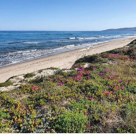 Dom wakacyjny Sa Domo De Ziu Pedru *